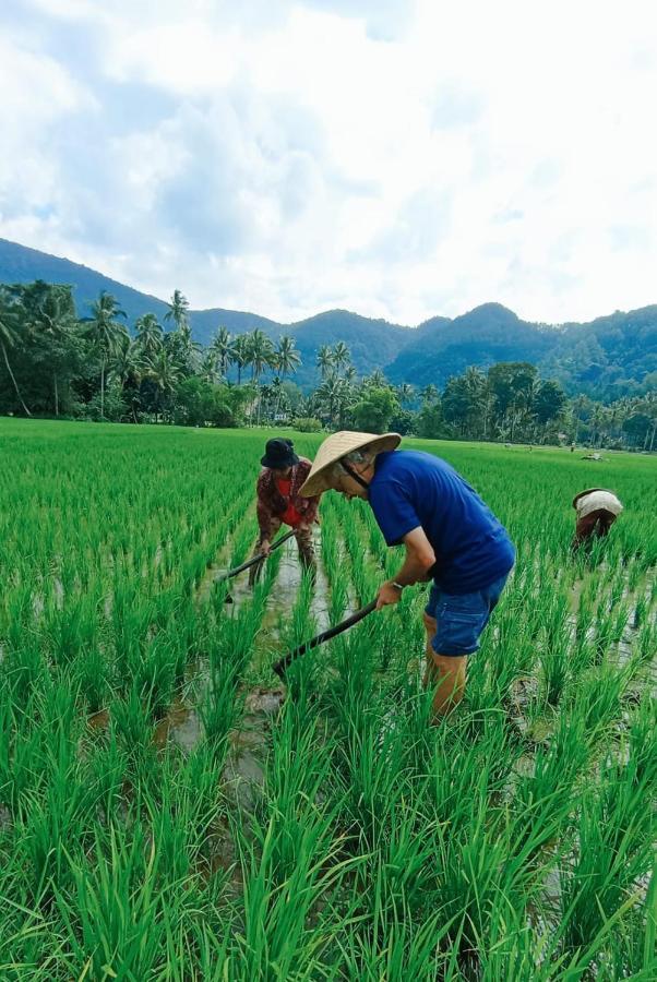 Rumah Gadang Tokama, Simarasok Baso Ngoại thất bức ảnh