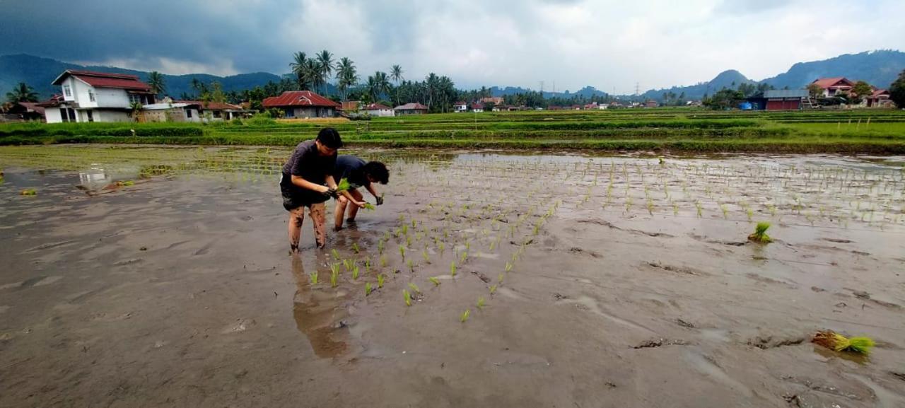 Rumah Gadang Tokama, Simarasok Baso Ngoại thất bức ảnh